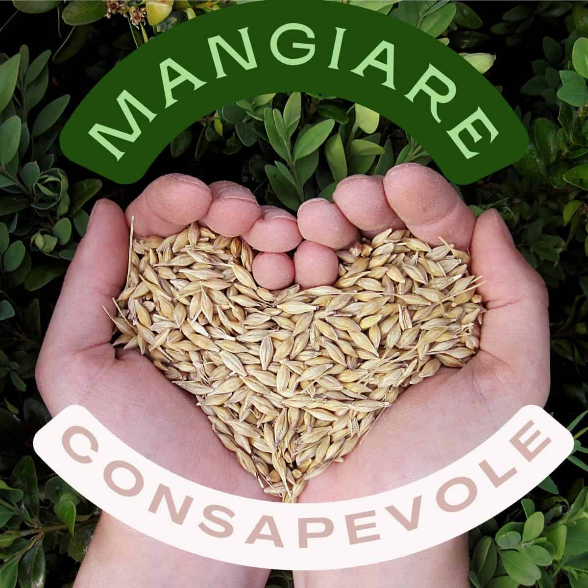 mani che tengono grano in modo da creare forma di cuore, intorno scritta "mangiare consapevole"