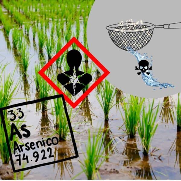 Riso integrale - tempi di cottura e ammollo (per meno arsenico) - VegeGrale