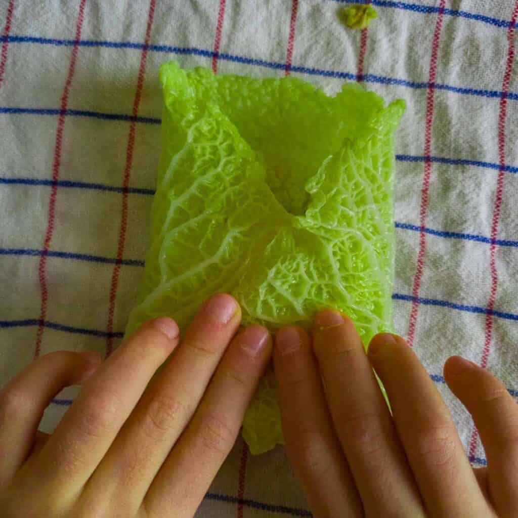 Involtino di verza: piccole mani chiudono i lati della foglia verso il centro sopra il ripieno (dopo aver piegato il lato anteriore sopra il ripieno).