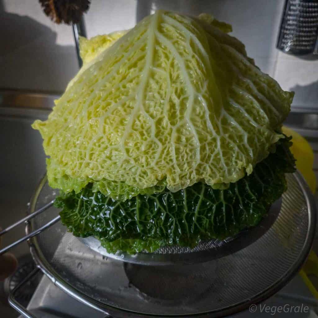 Foglie di verza cotte appoggiate su un colino rivolto all'inverso.