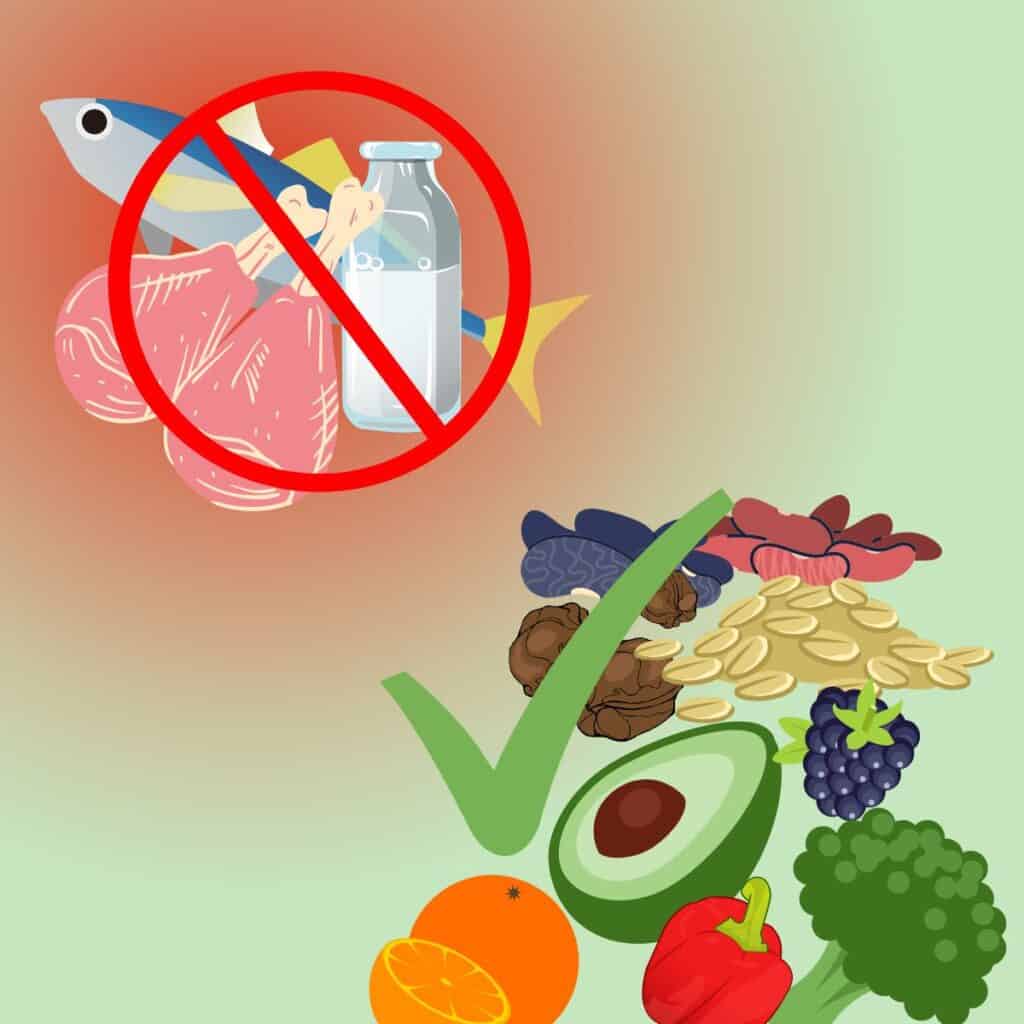 Grafica con alimenti di derivazione animale (come carne, pesce e latte) barrati con segnale rosso. Dall'altra parte della grafica tanti alimenti vegetali (come verdure, noci, legumi e cereali) con una spunta verde grande.