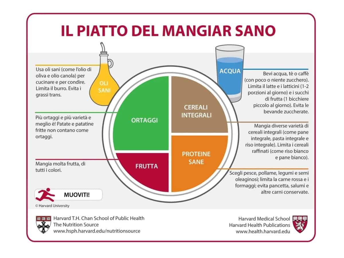 Grafica fatta dalla Harvard School of Public Health del Piatto del Mangiar Sano. I principali elementi sono Ortaggi, Frutta, Cereali Integrali, Proteine Sane, Oli Sani e Acqua. Alcuni dettagli saranno menzionati nel testo dell'articolo.