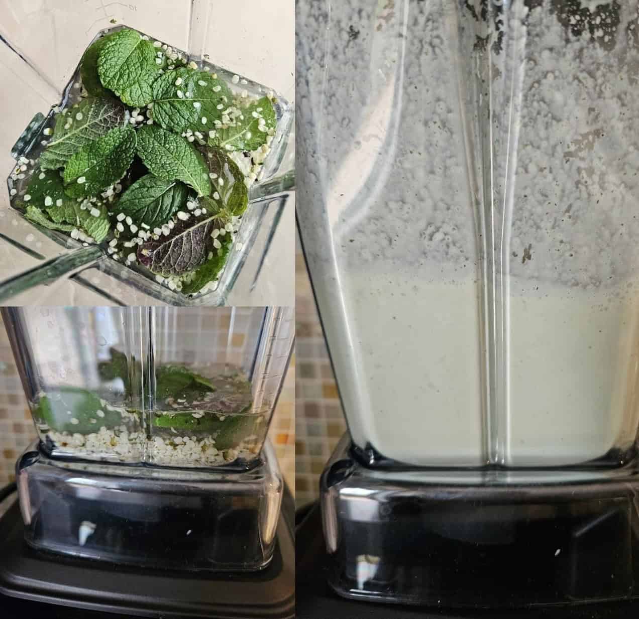 collage di foto: frullatore vitamix prima con ingredienti non frullati nel boccale (menta, semi di canapa decorticati e acqua), poi caraffa con crema frullata liscia dal color avorio.